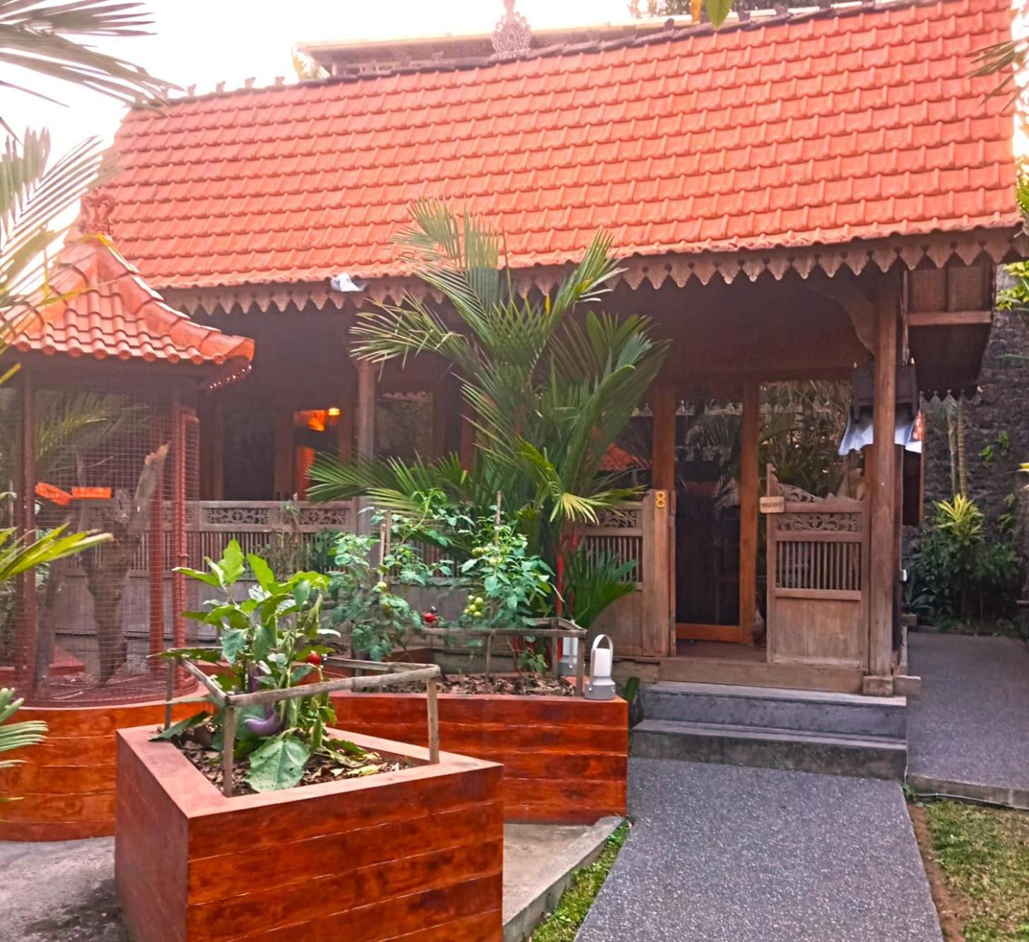 Lily Lane Villas Ubud Exteriér fotografie