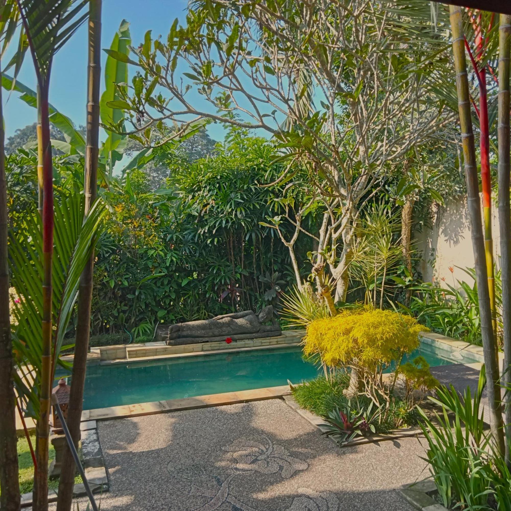 Lily Lane Villas Ubud Exteriér fotografie