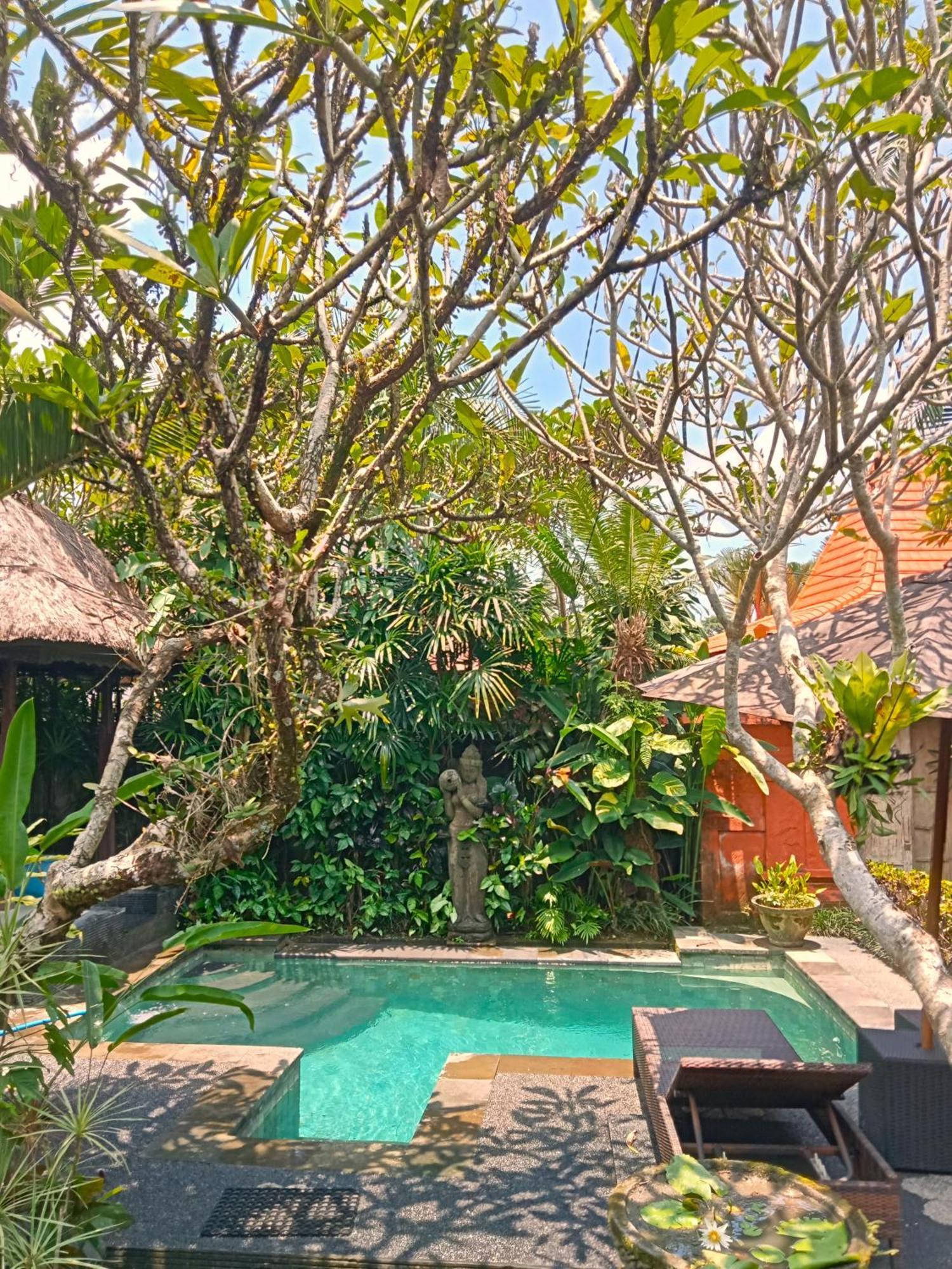 Lily Lane Villas Ubud Exteriér fotografie